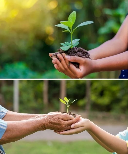 Sustentabilidade: O Caminho para um Futuro Melhor para Todos